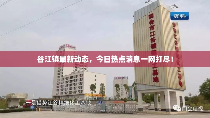 谷江鎮(zhèn)最新動態(tài)，今日熱點消息一網(wǎng)打盡！