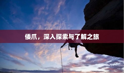 倭爪，深入探索與了解之旅