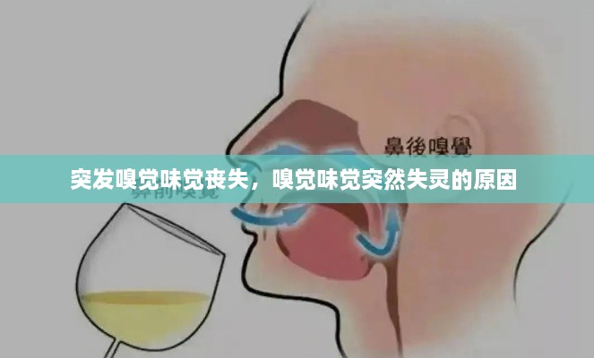 突發(fā)嗅覺味覺喪失，嗅覺味覺突然失靈的原因 