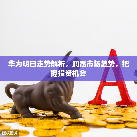 華為明日走勢解析，洞悉市場趨勢，把握投資機(jī)會