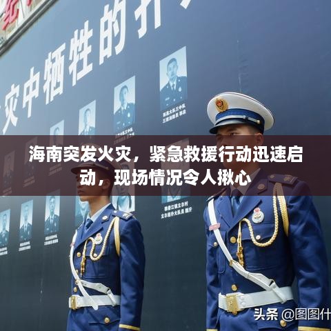 海南突發(fā)火災(zāi)，緊急救援行動迅速啟動，現(xiàn)場情況令人揪心