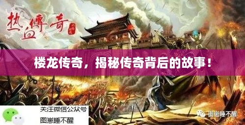 樓龍傳奇，揭秘傳奇背后的故事！