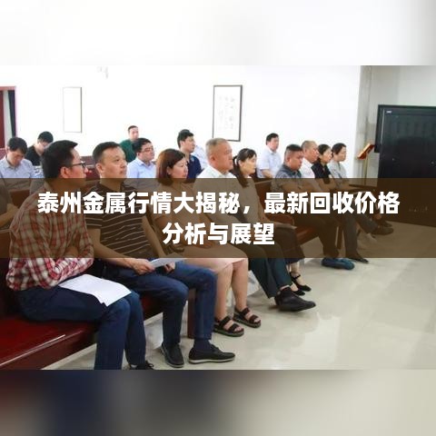 泰州金屬行情大揭秘，最新回收價(jià)格分析與展望
