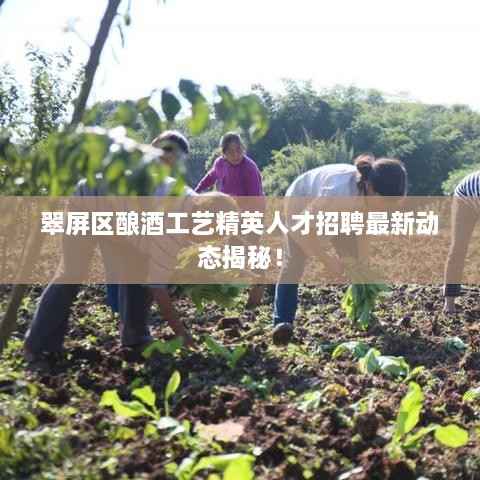 翠屏區(qū)釀酒工藝精英人才招聘最新動(dòng)態(tài)揭秘！