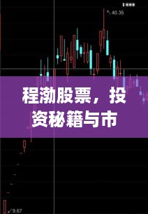 程渤股票，投資秘籍與市場深度洞察