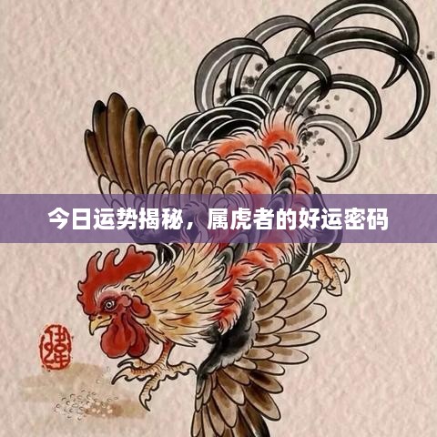今日運勢揭秘，屬虎者的好運密碼