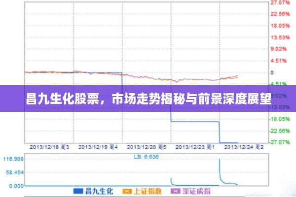 昌九生化股票，市場(chǎng)走勢(shì)揭秘與前景深度展望