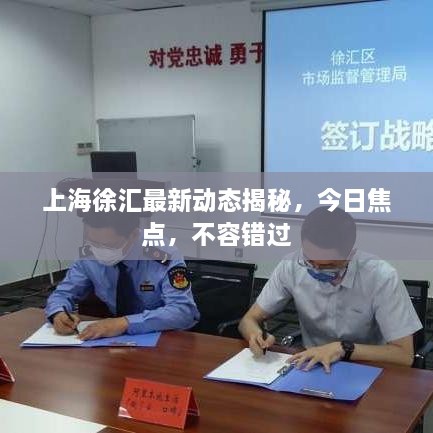 上海徐匯最新動態(tài)揭秘，今日焦點，不容錯過