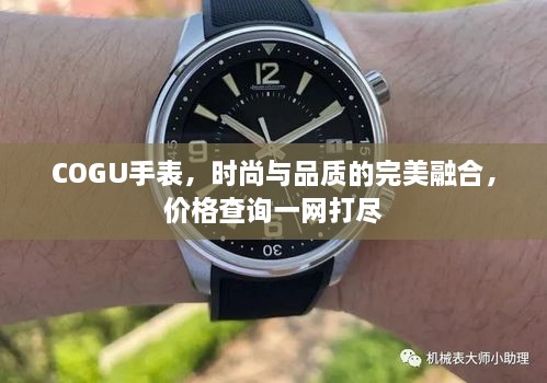 COGU手表，時(shí)尚與品質(zhì)的完美融合，價(jià)格查詢(xún)一網(wǎng)打盡