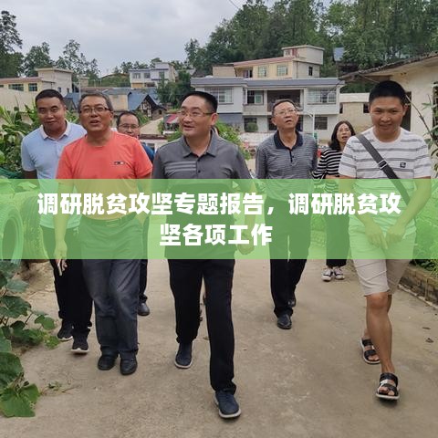 調(diào)研脫貧攻堅專題報告，調(diào)研脫貧攻堅各項工作 