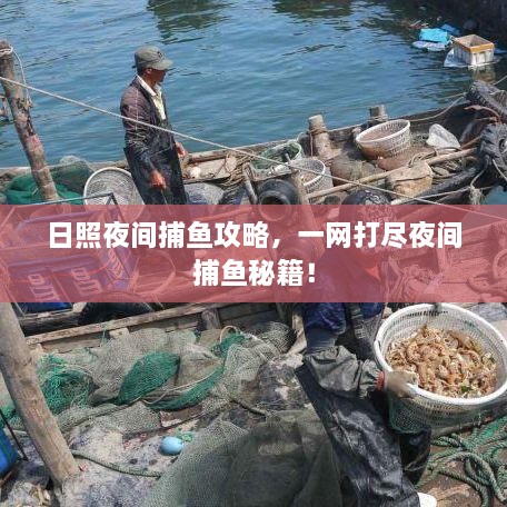 日照夜間捕魚攻略，一網(wǎng)打盡夜間捕魚秘籍！