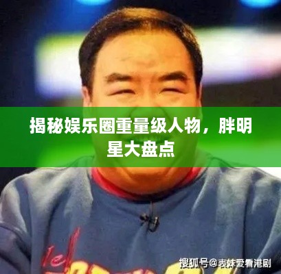揭秘娛樂圈重量級人物，胖明星大盤點(diǎn)