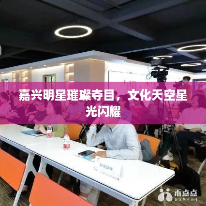 嘉興明星璀璨奪目，文化天空星光閃耀