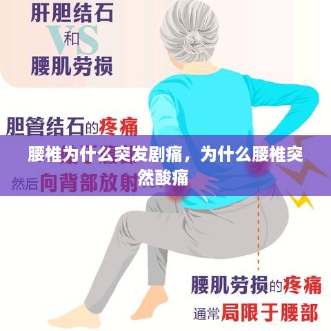 腰椎為什么突發(fā)劇痛，為什么腰椎突然酸痛 