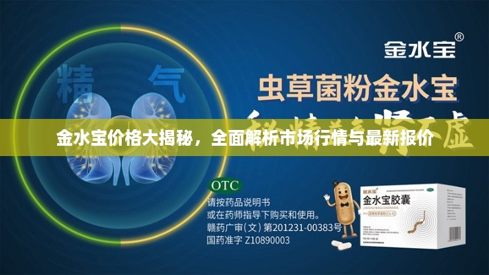 金水寶價(jià)格大揭秘，全面解析市場(chǎng)行情與最新報(bào)價(jià)