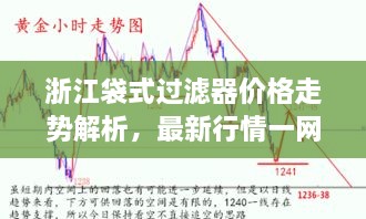 浙江袋式過(guò)濾器價(jià)格走勢(shì)解析，最新行情一網(wǎng)打盡！