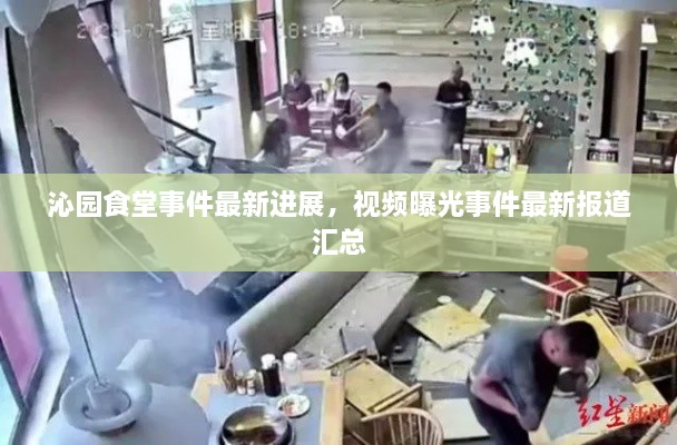 沁園食堂事件最新進展，視頻曝光事件最新報道匯總