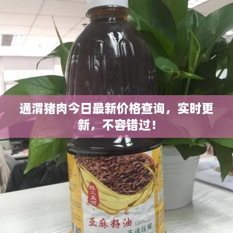 通渭豬肉今日最新價(jià)格查詢，實(shí)時(shí)更新，不容錯(cuò)過！