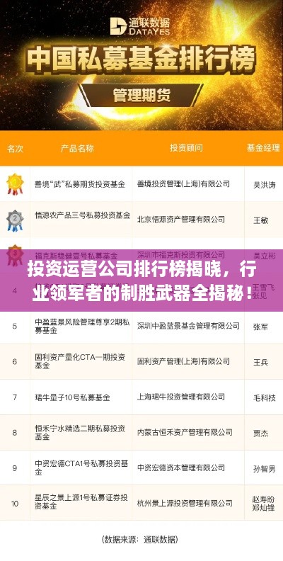 投資運(yùn)營(yíng)公司排行榜揭曉，行業(yè)領(lǐng)軍者的制勝武器全揭秘！
