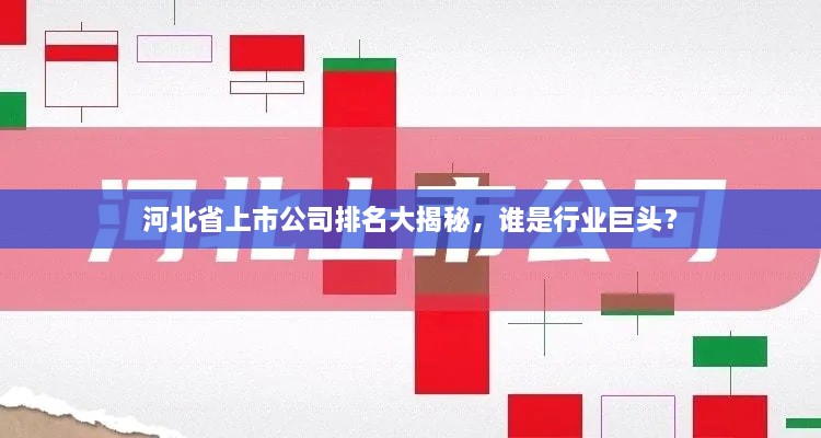 河北省上市公司排名大揭秘，誰是行業(yè)巨頭？