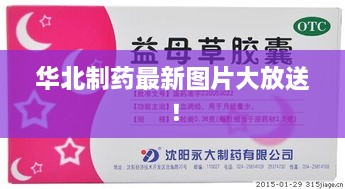 華北制藥最新圖片大放送！