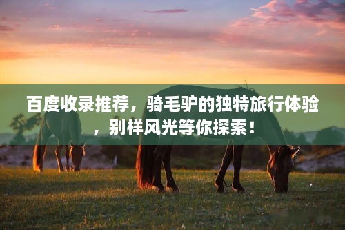 百度收錄推薦，騎毛驢的獨特旅行體驗，別樣風光等你探索！