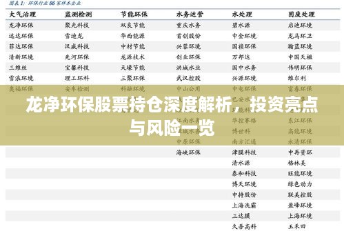 龍凈環(huán)保股票持倉深度解析，投資亮點(diǎn)與風(fēng)險(xiǎn)一覽