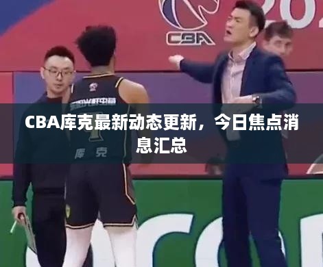CBA庫克最新動態(tài)更新，今日焦點消息匯總
