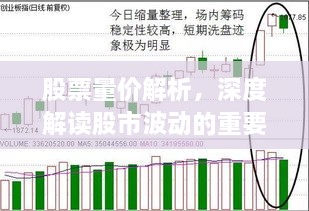 股票量價(jià)解析，深度解讀股市波動(dòng)的重要指標(biāo)！