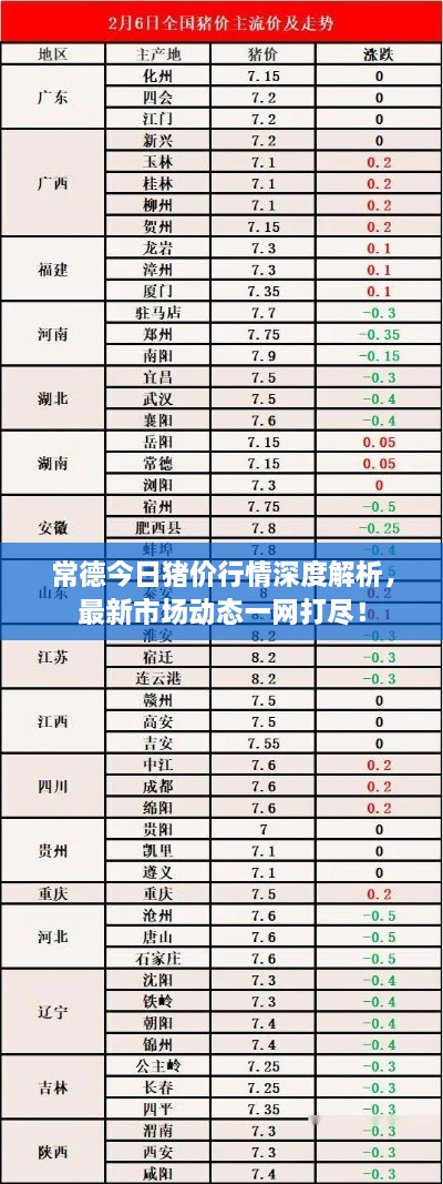 常德今日豬價(jià)行情深度解析，最新市場(chǎng)動(dòng)態(tài)一網(wǎng)打盡！