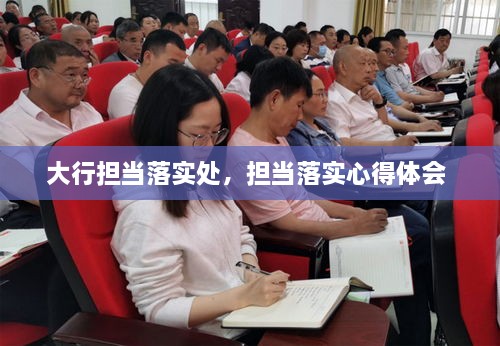 大行擔當落實處，擔當落實心得體會 