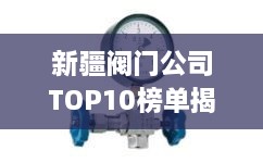 新疆閥門公司TOP10榜單揭曉，行業(yè)領(lǐng)軍者一覽無余