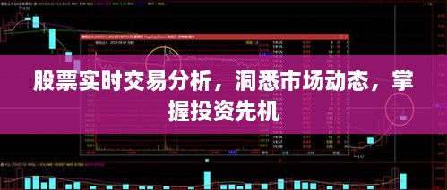 股票實(shí)時(shí)交易分析，洞悉市場(chǎng)動(dòng)態(tài)，掌握投資先機(jī)