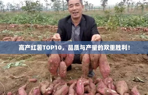 新聞動態(tài) 第91頁
