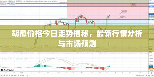 胡瓜價格今日走勢揭秘，最新行情分析與市場預(yù)測
