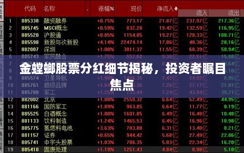 金螳螂股票分紅細(xì)節(jié)揭秘，投資者矚目焦點(diǎn)