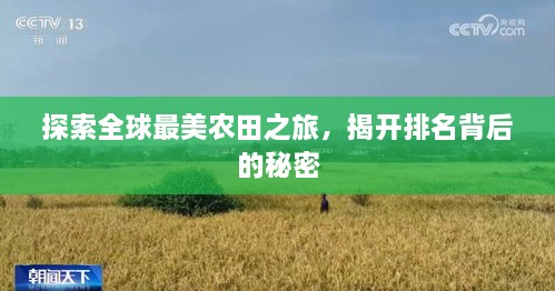 探索全球最美農(nóng)田之旅，揭開排名背后的秘密