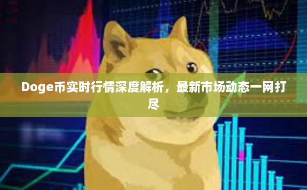 Doge幣實(shí)時行情深度解析，最新市場動態(tài)一網(wǎng)打盡