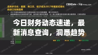 今日財(cái)務(wù)動(dòng)態(tài)速遞，最新消息查詢，洞悉趨勢(shì)，掌握財(cái)經(jīng)動(dòng)態(tài)