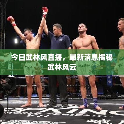 今日武林風(fēng)直播，最新消息揭秘武林風(fēng)云