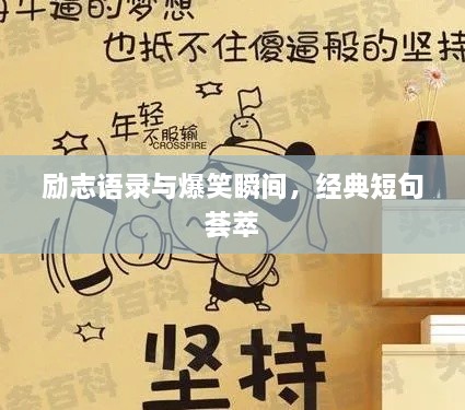 勵志語錄與爆笑瞬間，經(jīng)典短句薈萃