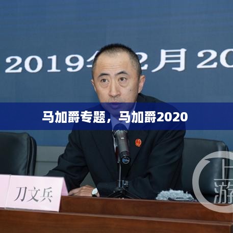 馬加爵專題，馬加爵2020 