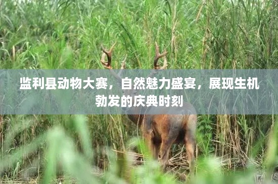 監(jiān)利縣動物大賽，自然魅力盛宴，展現(xiàn)生機勃發(fā)的慶典時刻