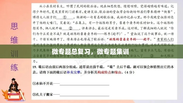 微專題總復(fù)習(xí)，微專題集訓(xùn) 