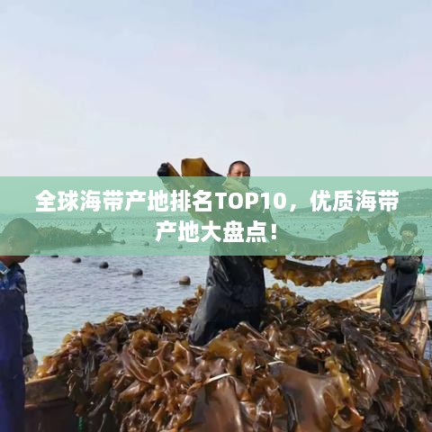 全球海帶產(chǎn)地排名TOP10，優(yōu)質(zhì)海帶產(chǎn)地大盤點(diǎn)！