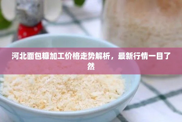河北面包糠加工價(jià)格走勢(shì)解析，最新行情一目了然