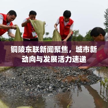 銅陵東聯(lián)新聞聚焦，城市新動向與發(fā)展活力速遞
