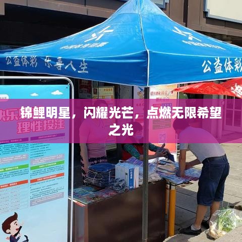 錦鯉明星，閃耀光芒，點燃無限希望之光