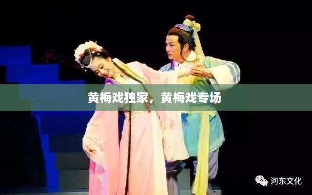 黃梅戲獨(dú)家，黃梅戲?qū)?