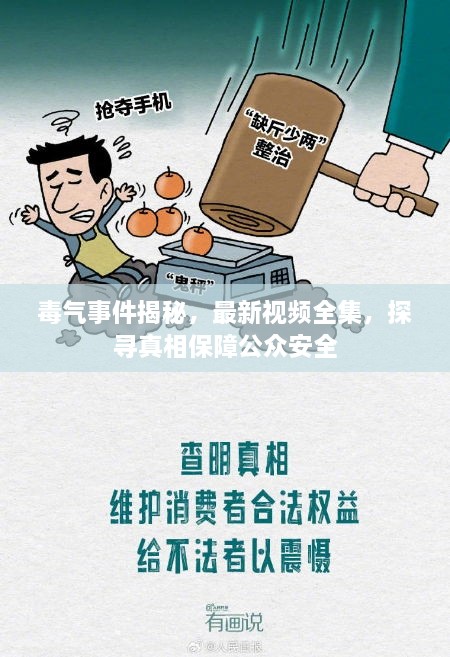 毒氣事件揭秘，最新視頻全集，探尋真相保障公眾安全